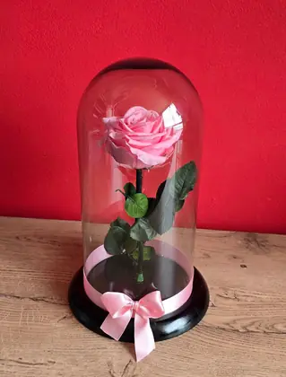 Rosa Preservada: Rosa 100% natural preservada bajo cúpula de vidrio. Dura de 3 a 5 años — regalo a domicilio en Bogotá